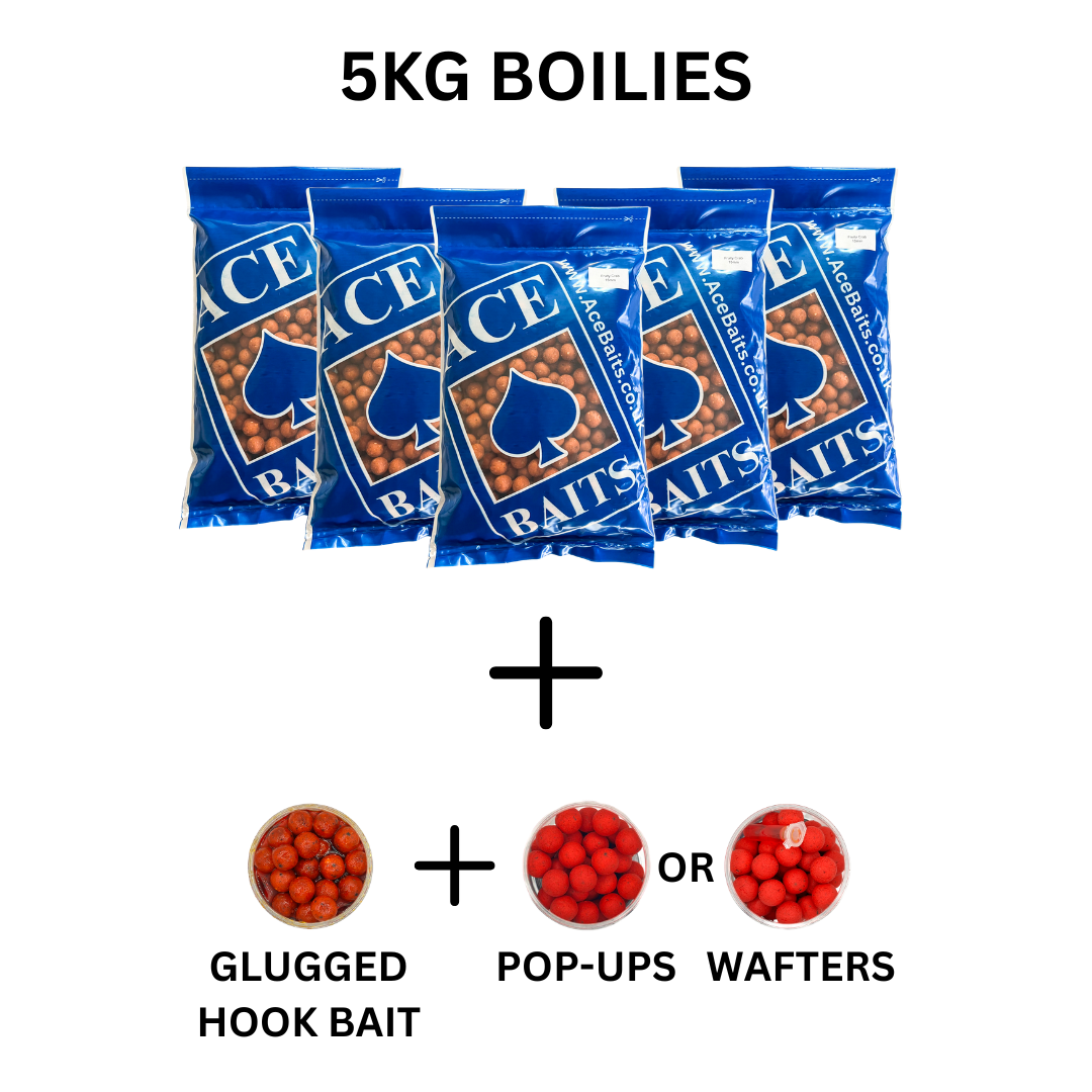 5kg Boilie Bundle - Boilies, Glugged Hook Baits & Choice of Pop-Ups or Wafters