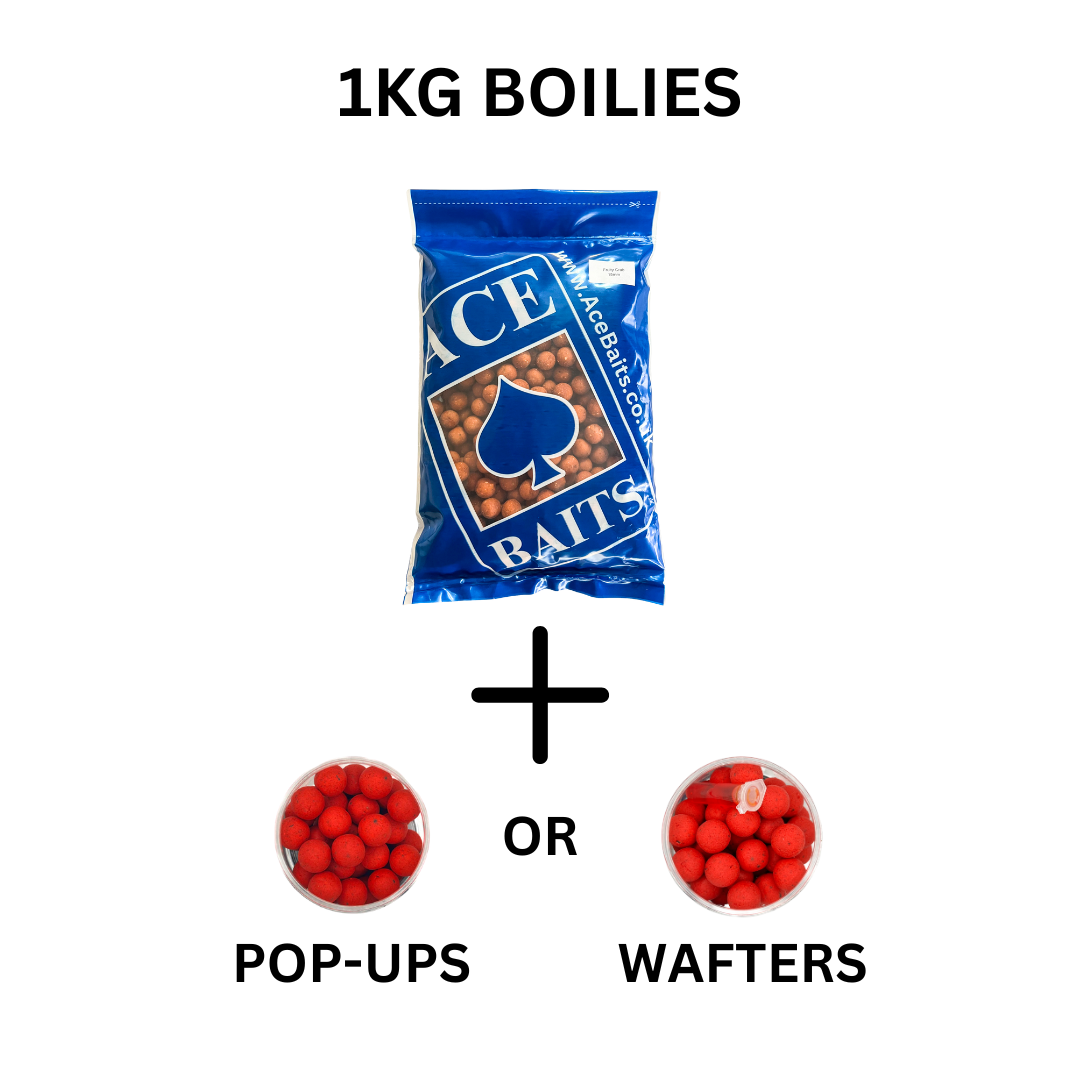1kg Boilies + Pop-Ups or Wafters