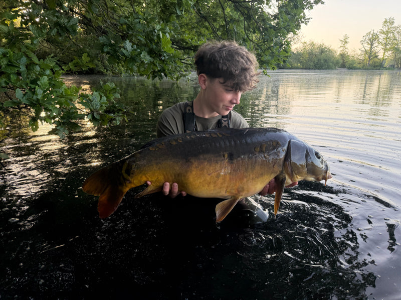 Catch by Harry White