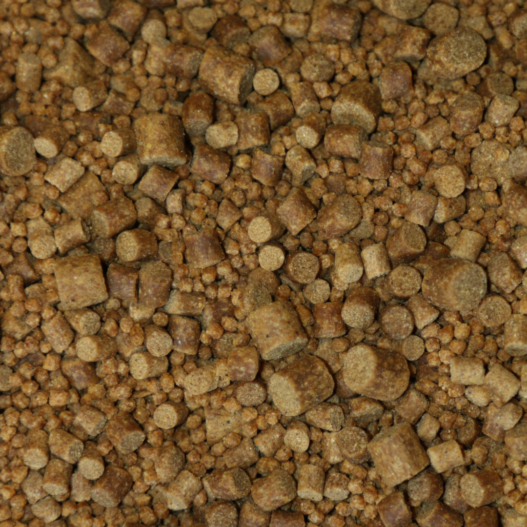 Flavoured Carp Pellets - Ace Baits
