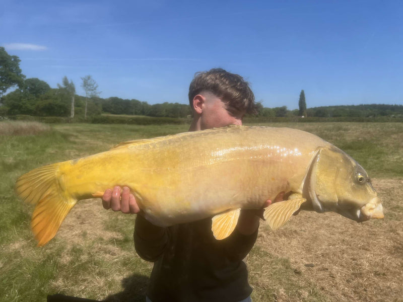 Catch by Harry White