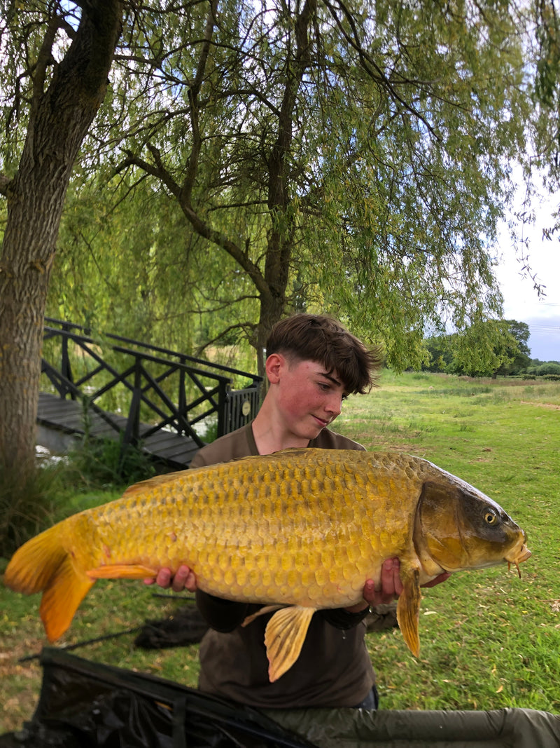 Catch by Harry White