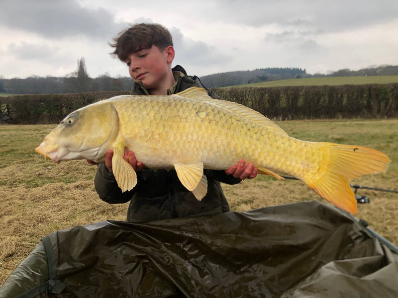 Catch by Harry White