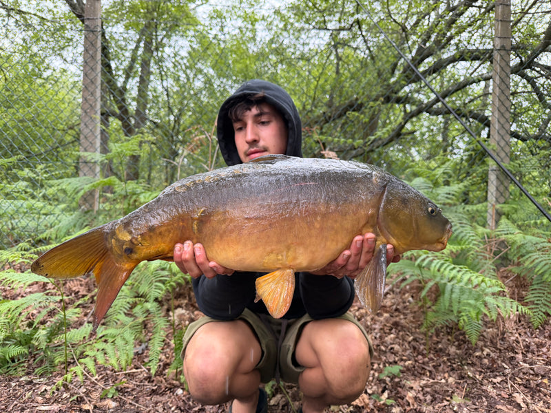 Catch by Archie