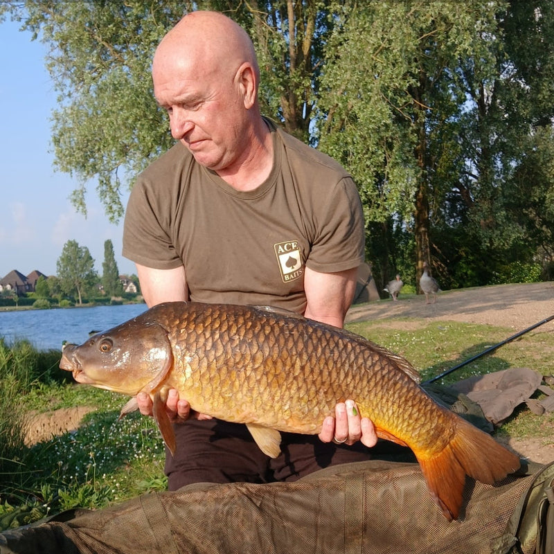 Catch by Steve Tame